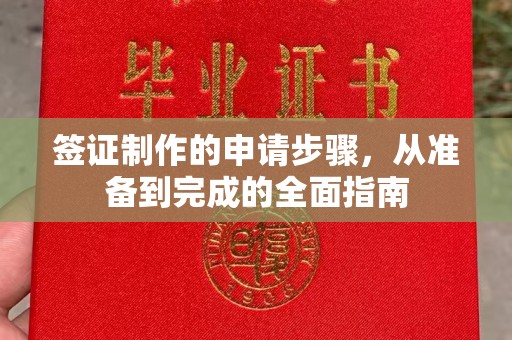 庐阳签证制作的申请步骤，从准备到完成的全面指南